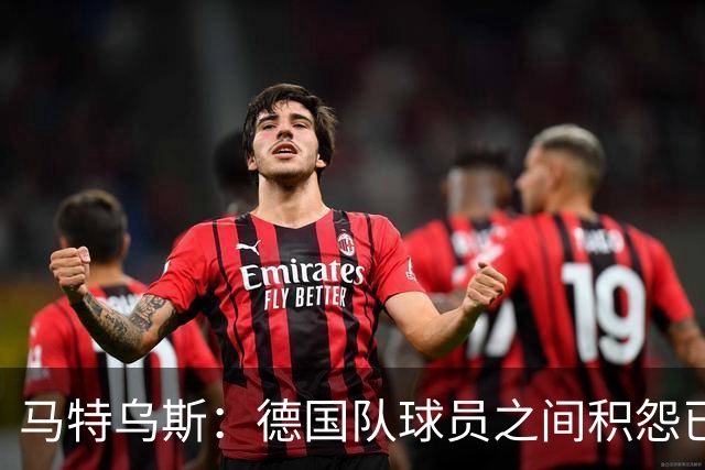 马特乌斯：德国队球员之间积怨已久 一些人的家人可以享受特权